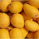 Centre secures approval for export of Indian mangoes to USA this season