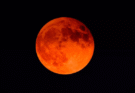 Blood Moon India