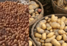 Patna Fake Potato Scam Busted: Chemical-Coated Tubers Seized