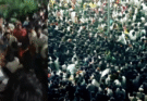 Tamil Nadu Stampede: TVK Leader Held, Vijay Named in FIR After 41 Deaths