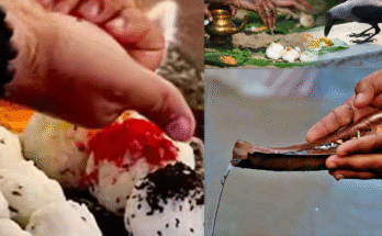 Pitru Paksha Rituals at Gaya Falgu on Sunday