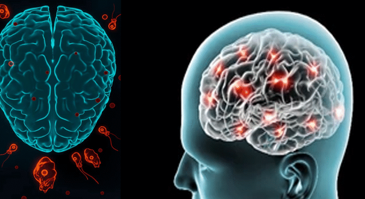Deadly ‘Brain-Eating Amoeba’ Sparks Health Scare in Kerala, 19 Dead