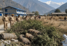 161 Gelatin Sticks Found Near Almora School, Police Probe Possible Terror Links
