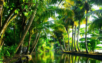 Kerala Becomes India’s First State to Eliminate Extreme Poverty, Declares CM Pinarayi Vijayan