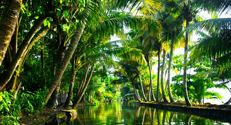 Kerala Becomes India’s First State to Eliminate Extreme Poverty, Declares CM Pinarayi Vijayan