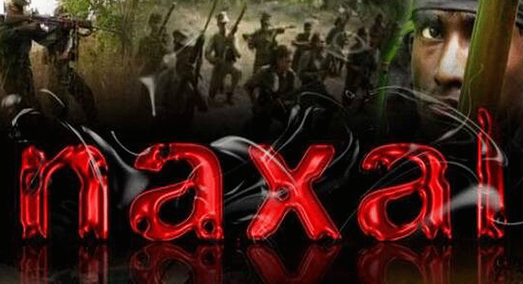 Maoists Seek Halt to Operations Till February 15; Offer Mass Surrender in Letter to Three CMs