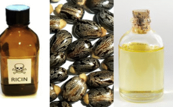 Bharat पर जैविक हमले (Ricin) की कोशिश नाकाम: पाकिस्तान-ISKP की ‘राइसिन टेरर’ साजिश बेनकाब