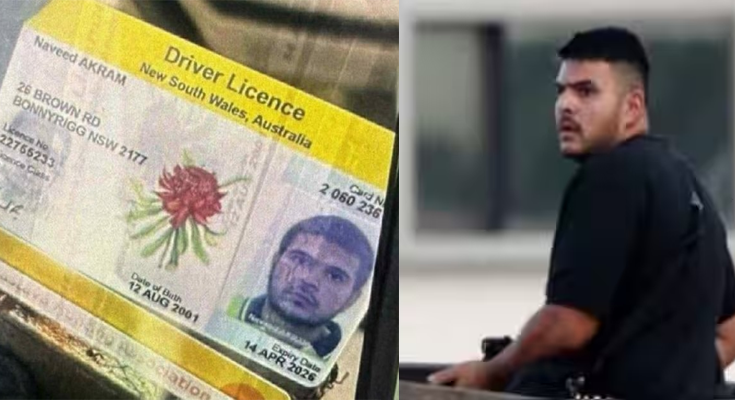 Bondi Beach Mass Shooting Leaves 10 Dead; Police Name Pakistani-Origin Suspect