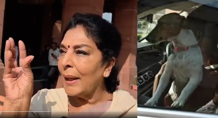 Renuka Chowdhury’s Puppy in Parliament Sparks BJP–Congress Clash