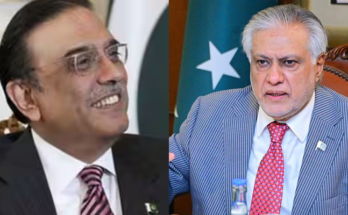 Operation Sindoor: ‘Go to the Bunkers,’ Zardari Says as Dar Admits Drone Strike