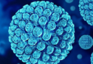 Norovirus Outbreak in South China School Sickens Over 100 Students
