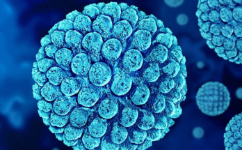 Norovirus Outbreak in South China School Sickens Over 100 Students