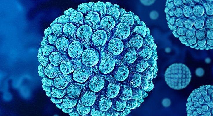 Norovirus Outbreak in South China School Sickens Over 100 Students