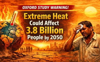 2050 तक आधी दुनिया झुलसेगी (Extreme Heat), भारत (India) सबसे अधिक प्रभावित देशों में: Oxford Study
