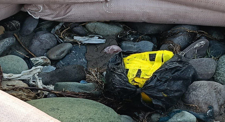 Pakistani Drone Drops IED, Ammo Near LoC in Poonch; Security Forces Recover Payload