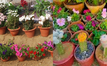 Bokaro Steel Plant to Host ‘Pushpita-2026’ Flower Exhibition, Invites Citizens to Participate