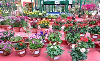 Bokaro Blooms: Pushpita-2026 Flower Exhibition Inaugurated