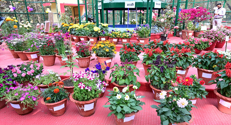 Bokaro Blooms: Pushpita-2026 Flower Exhibition Inaugurated