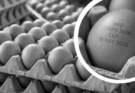 UP Govt. Cracks Down on Egg Freshness: Expiry Date Now Mandatory from April 1