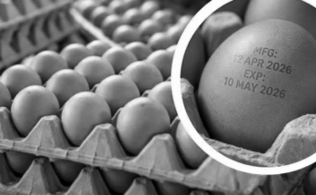 UP Govt. Cracks Down on Egg Freshness: Expiry Date Now Mandatory from April 1