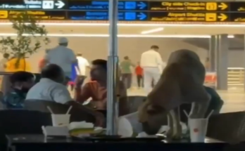 Stray Dog Seen Eating Leftovers at Hyderabad Airport, Viral Video Sparks Outrage
