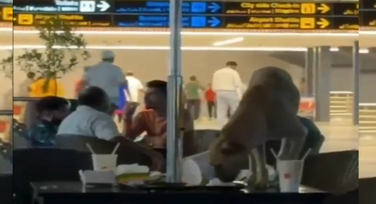 Stray Dog Seen Eating Leftovers at Hyderabad Airport, Viral Video Sparks Outrage