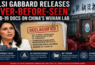 Did U.S.-China Research Collaboration Contribute to the Wuhan Lab Controversy?