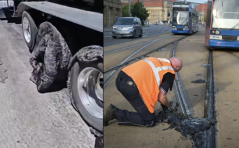 Melting Roads, Buckling Tracks, Lives in Peril: Europe Heatwave Turns Deadly, WHO Warns After 1,300 Deaths
