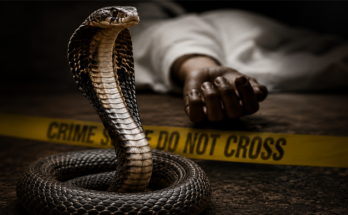 Snake Used as Murder Weapon? Wife, Lover Held for Chilling Plot to Kill School Owner in UP