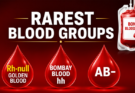 ED Raids 16 Locations, Seizes ₹40 Lakh Cash and Gold from Bengal Madrasa in Alleged Terror Funding Probe