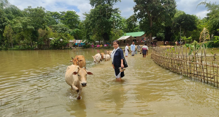 Assam Flood: भारी बारिश के साथ Nagaland में पर्यावरणीय क्षति पर भी उठे सवाल