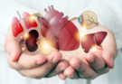 India Crosses 5 Lakh Aadhaar-Verified Organ Donation Pledges, Ranks Third Globally in Transplants