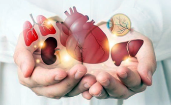 India Crosses 5 Lakh Aadhaar-Verified Organ Donation Pledges, Ranks Third Globally in Transplants