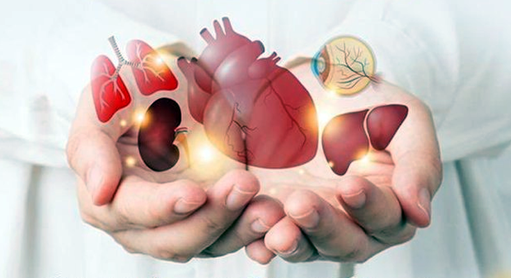 India Crosses 5 Lakh Aadhaar-Verified Organ Donation Pledges, Ranks Third Globally in Transplants