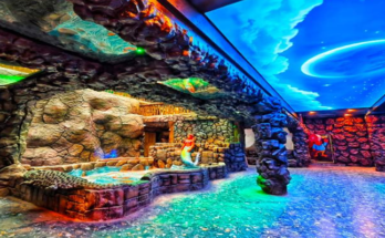 India’s First Virtual Zoo in Indore: 14-D Cinema and Virtual Jungle Safari Open