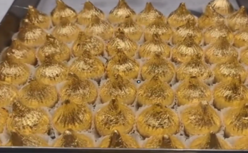 Golden Modak Worth ₹27,000 a Kg Steals the Show in Nashik Ahead of Ganesh Chaturthi
