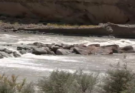 India Builds Rock Check Dam on Indus: What It Means for Ladakh