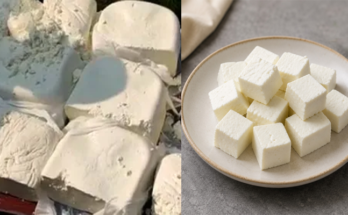 Analogue Paneer vs Traditional Paneer Explained: Why FSSAI Wants a Nationwide Ban?