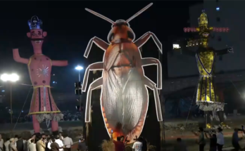 Delhi Dussehra 2026: Keshav Ramlila Committee Burns Cockroach Effigy Alongside Ravan in Netaji Subhash Place
