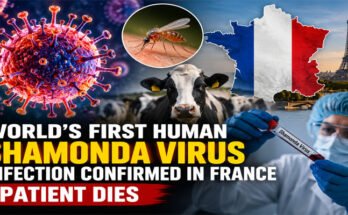 France में दुनिया में पहली बार इंसान में मिला Shamonda Virus (शमोंडा वायरस) का संक्रमण, मरीज की मौत