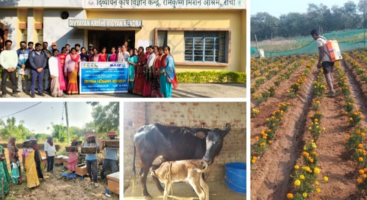 CCL’s CSR Push Delivers Big: Health, Education, Jobs and Sustainability Drive Transforming Lives