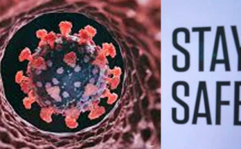 नया COVID वेरिएंट ‘सिकाडा’ ('Cicada') 23 देशों तक पहुंचा, क्या फिर बढ़ेगा खतरा?