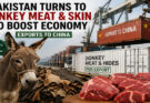 अब गधे बचाएंगे Pakistan की डूबती अर्थव्यवस्था! Donkey Meat और Skin Export से बढ़ेगी विदेशी मुद्रा