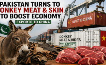 अब गधे बचाएंगे Pakistan की डूबती अर्थव्यवस्था! Donkey Meat और Skin Export से बढ़ेगी विदेशी मुद्रा